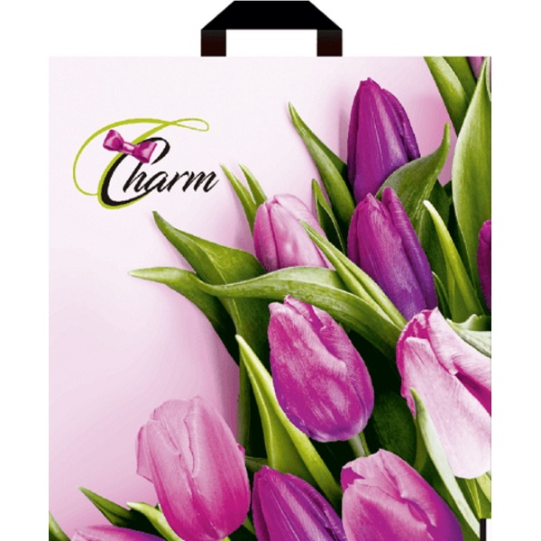 Пакет с петлевой ручкой, 40*38 см, полиэтилен 40 мкм, Шарм Пакет с петлевой ручкой, 40*38 см, полиэтилен 40 мкм, Шарм