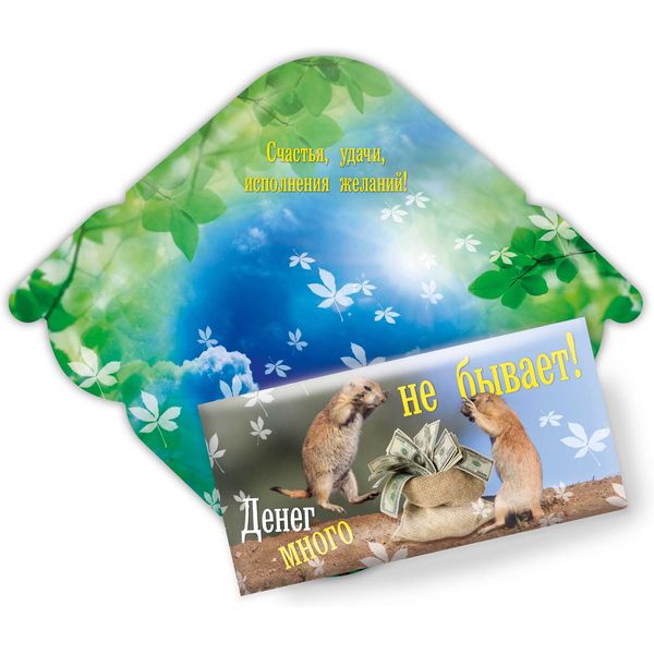 Конверт для денег универсальный (без темы) "Денег много не бывает!"